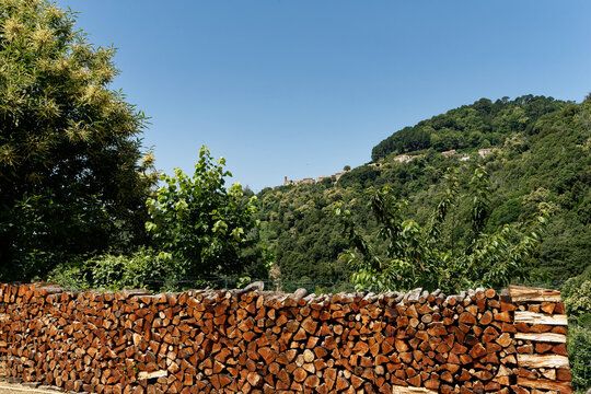 Frankreich - Korsika - Sorbollano