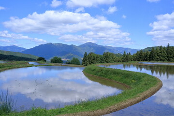 吉延の棚田　美しいあぜ道　（高知県　本山町）