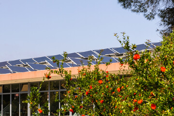 Solar panels on building roof amidst nature