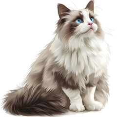 Clipart illustration of ragdoll cat breeds on a white background. Suitable for crafting and digital design projects.[A-0002]