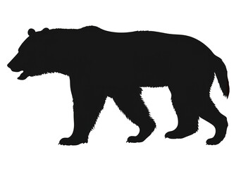 Silhouette of a black bear walking. Illustrations vector Isolated on background