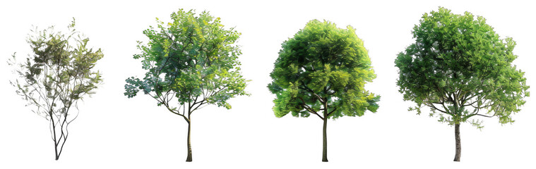 4 different realistic green trees on a white background, png.