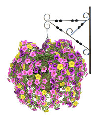 Colorful trailing petunia flowers in a hanging basket. Image 16 of a selection of PNG 3D, illustrations
