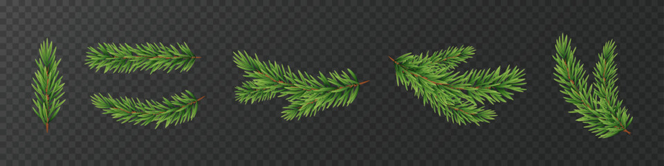 Fir branch realistic set. Pine tree green branches. © 11ua