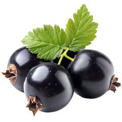 blackcurrant on transparent png background