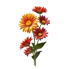 illustration of flower isolated on transparent background