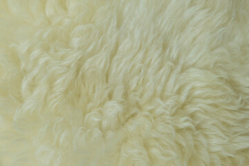 beige sheepskin texture with soft hairs, natural fur for the designer, the concept of processing, production of furrier products, stress relief, psychological stress
