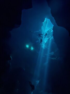Divers hover below the sunlight cavern entrance at Buford Sink, Chassahowitzka Wildlife Management Area, Florida, Florida