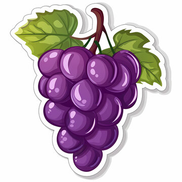 Cute grape catoon on a White Canvas Sticker,vector image