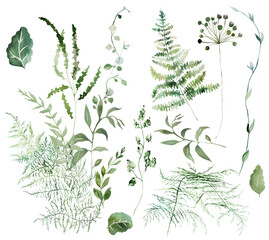 Bouquet and single elements with Watercolor fragile stems and green leaves isolated illustration, wedding