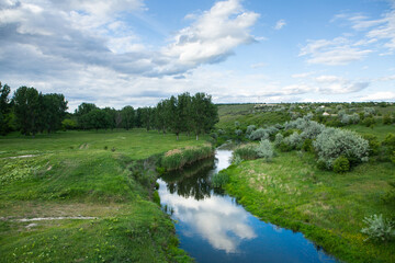 Beautiful summer landscape with green trees,  green meadows on the bank of the river in Republic of Moldova.
