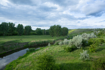 Beautiful summer landscape with green trees,  green meadows on the bank of the river in Republic of Moldova.
