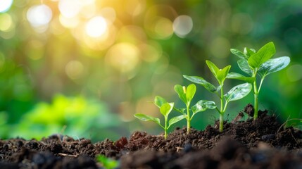 Highlight the synergies between clean energy and regenerative agriculture practices that sequester carbon and enhance soil health, creating a virtuous cycle of sustainability