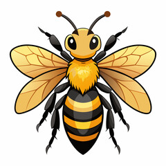 africanized-bee-looks-vector-white-background