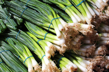 Bunch of fresh spring onions at a market