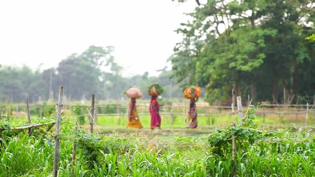 villagers woman carrying her luggage slow motion video