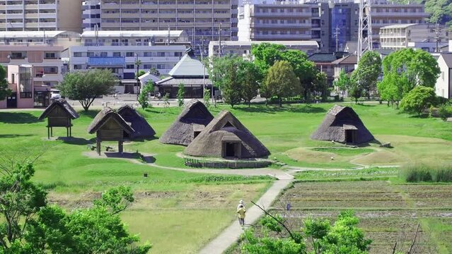 ＜登呂遺跡＞