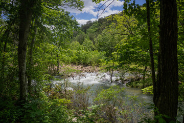 A view of Big Soddy Creek Gulf through the trees. Photographed from the shaded trail that runs along the river and offers beautiful views of the water.