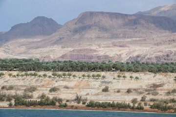 Landscape at the Dead sea in Jordan