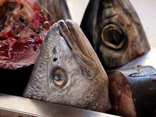 head of fresh fish seafood at Ortigia Syracuse sicily fish market Italy