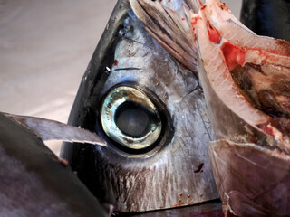 Tuna eye fresh fish seafood at Ortigia Syracuse sicily fish market Italy