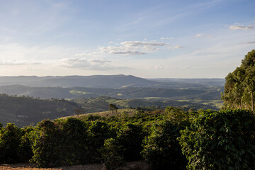 Lavoura de café com montanhas, Minas Gerais