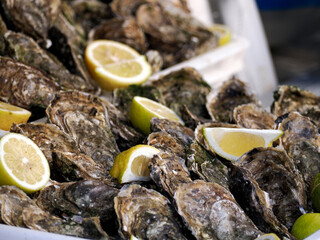 oyster fresh fish seafood at Ortigia Syracuse sicily fish market Italy