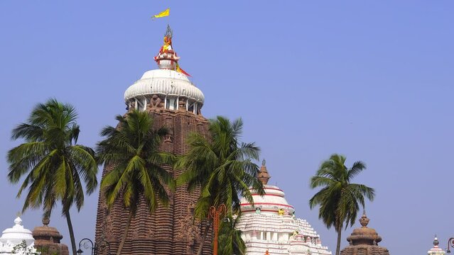 top view of jagannath temple