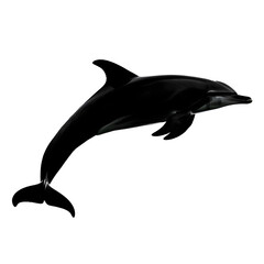 Fototapeta premium Silhouette of a dolphin