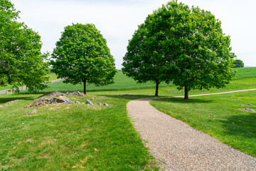 gravel walking path by large grass area and trees in a public park