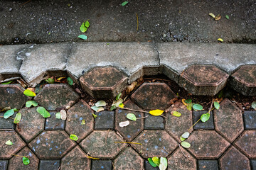 Pavement surface is damaged and dangerous. Broken brick blocks can pose danger to pedestrians. Old...