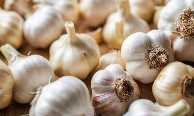 Garlic bulbs scattered on a surface. Each bulb is plump and white with slight purple tinges, and the roots of the garlic are visible and appear dry and fibrous.