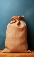 bag on a white background