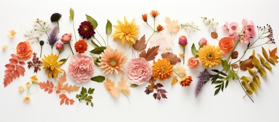 A fresh collection of autumn flowers beautifully arranged on a white background creating a floral composition that reflects the essence of fall The image is taken from a top down perspective offering