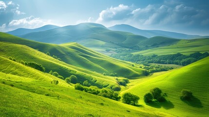 Fototapeta premium Verdant Green Hills Undulating in the Warm Light of Early Morning