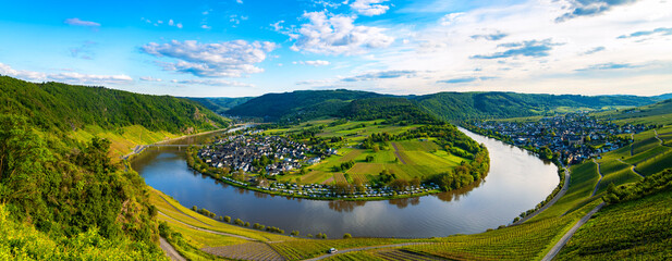 Panorama of the 180 degree river loop of the Moselle between Kröv and Traben-Trabach located in a...