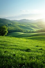 Fototapeta na wymiar Springtime Serenity in the Lush Tuscan Hills at Dawn