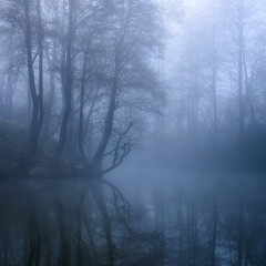 Obraz premium on the Misty Lake ..