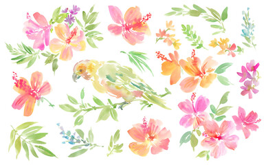 Watercolor PNG clipart set with abstract hand painted hibiscus, tropical plants, and parrots. Summer botanical illustration set for background and pattern. © Sawango