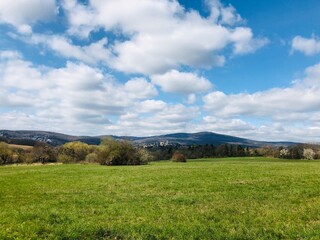 Obraz premium field and blue sky