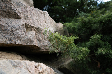 rocks in the mountains
