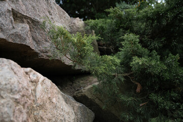 rocks in the mountains