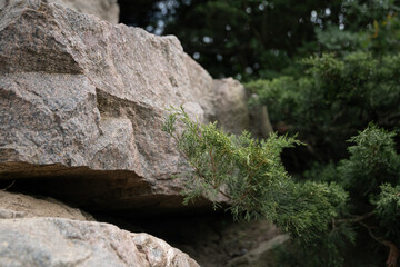rocks in the mountains