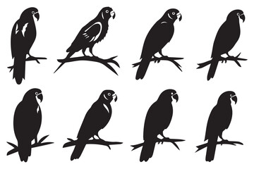 Black silhouette set of parrot on a white background