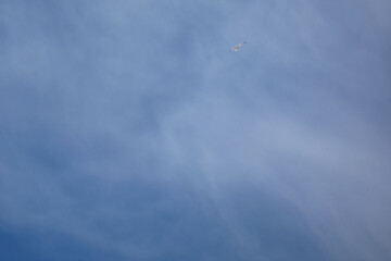 Cielo