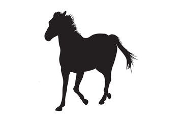 running horse silhouette on white background, isolated, vector