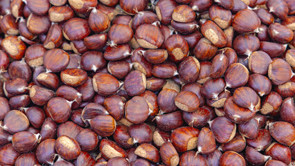Brown Chestnut Maroon Nuts at Farmers Market Background