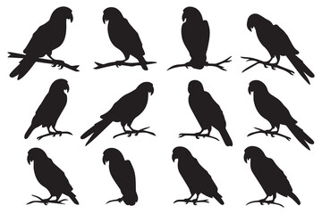 Obraz premium parrot bird silhouette black vector illustration