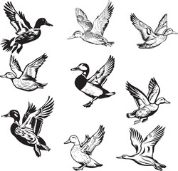 black and white duck outline