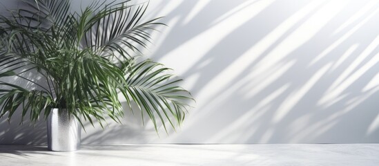 The tropical palm leaves cast shiny shadows on a white grey ceramic beton wall creating an abstract pastel background The image features copy space and scattered glitter confetti
